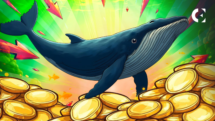 Crypto Whales Trigger $1.65 Billion Liquidations in Latest Market Shake-Up