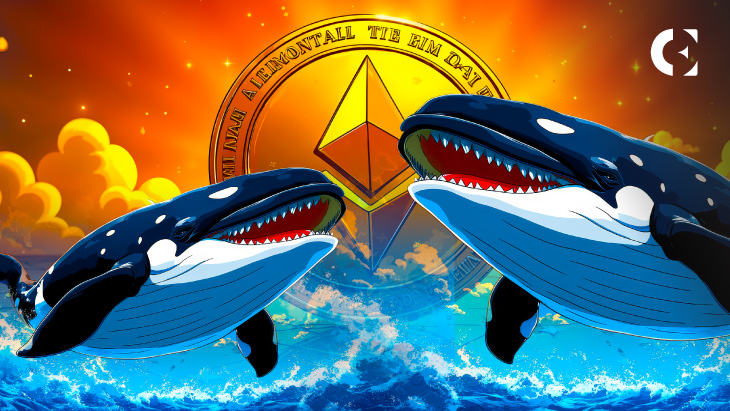 Ethereum Whale Wallets Reach Record High, Holding 57.35% of ETH