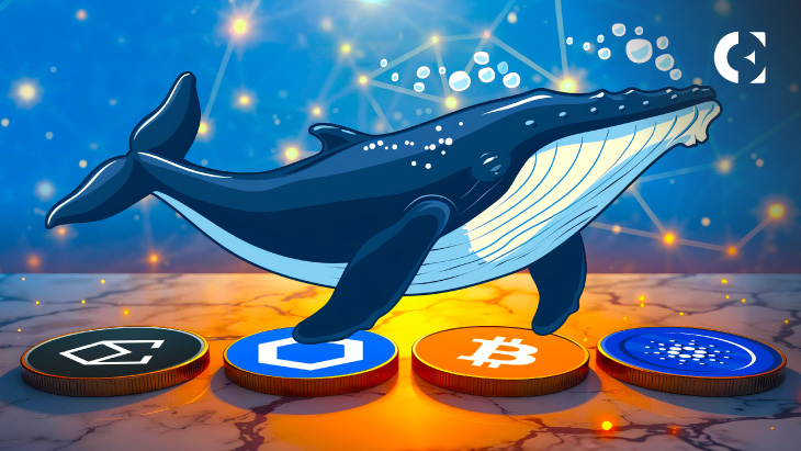 Smart Money Moves: Whales Stock Up on Crypto Despite Market Downturn