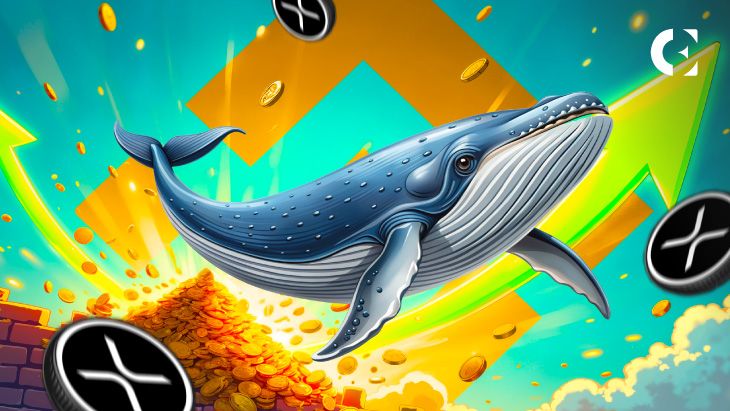 XRP Whales Flood Binance: 2.66 Billion Tokens Moved Amid Price Swings