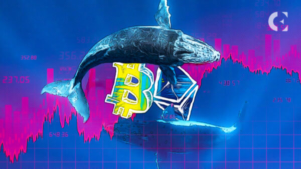 Bitcoin Whales Go On a Buying Spree: 28,000 BTC Moved Into ‘Accumulation’